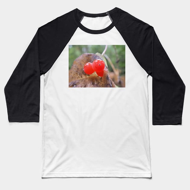 Western trumpet honeysuckle (Lonicera ciliosa) berries Baseball T-Shirt by SDym Photography